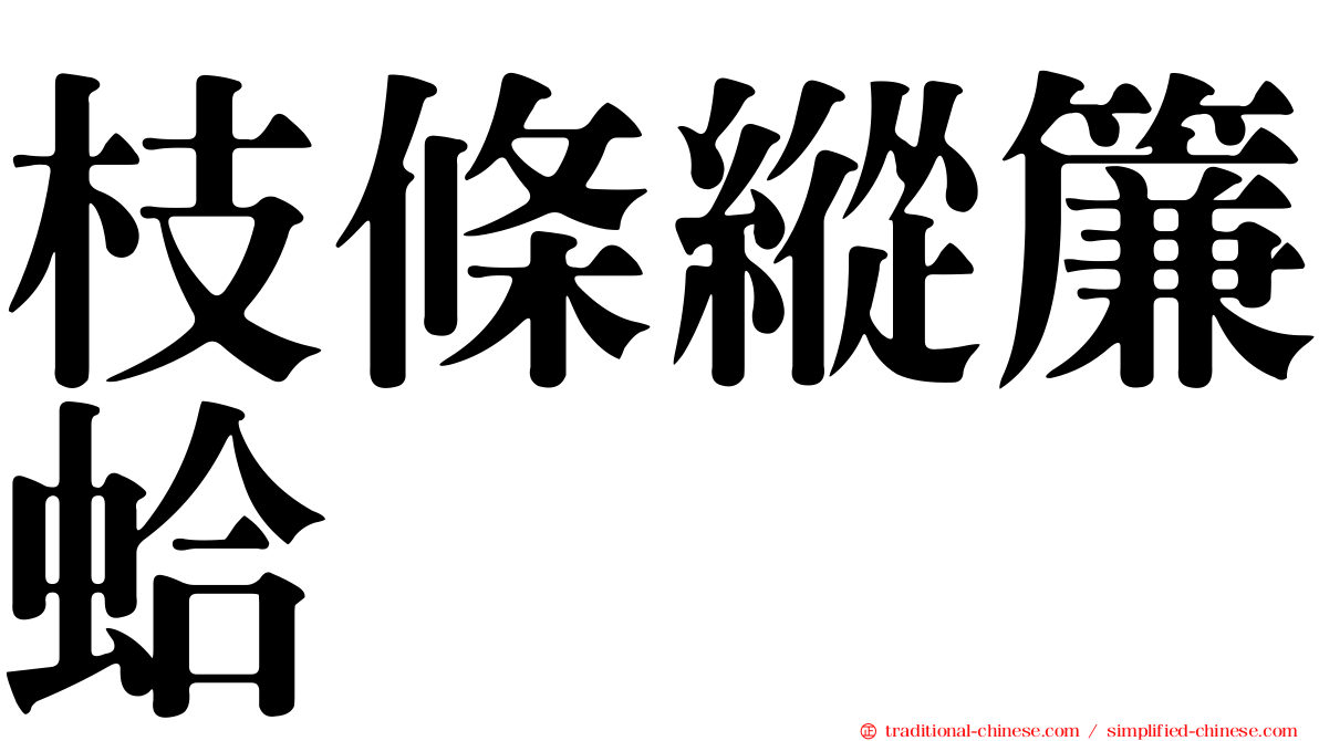 枝條縱簾蛤