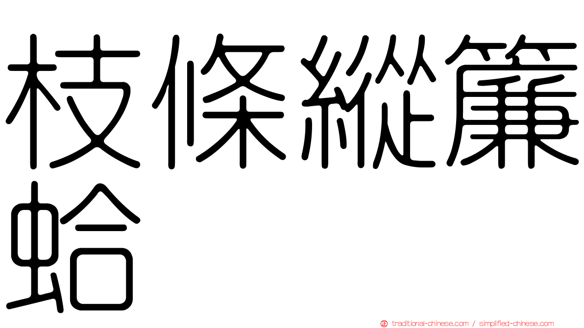 枝條縱簾蛤