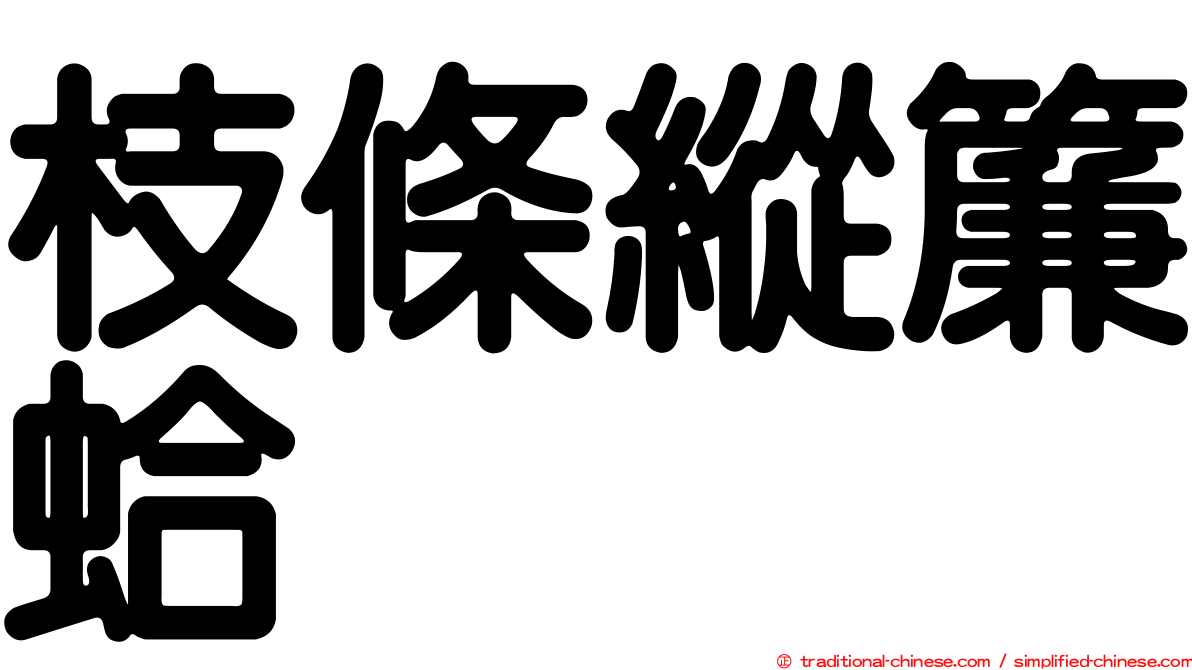 枝條縱簾蛤