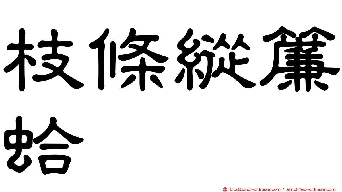 枝條縱簾蛤