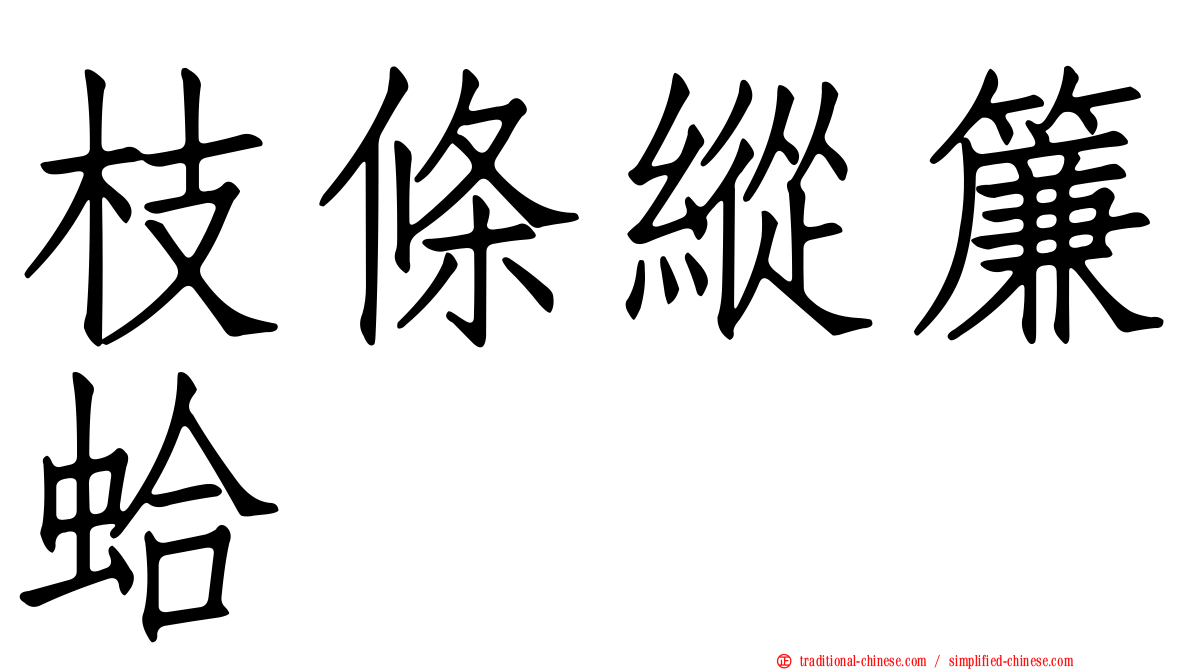 枝條縱簾蛤