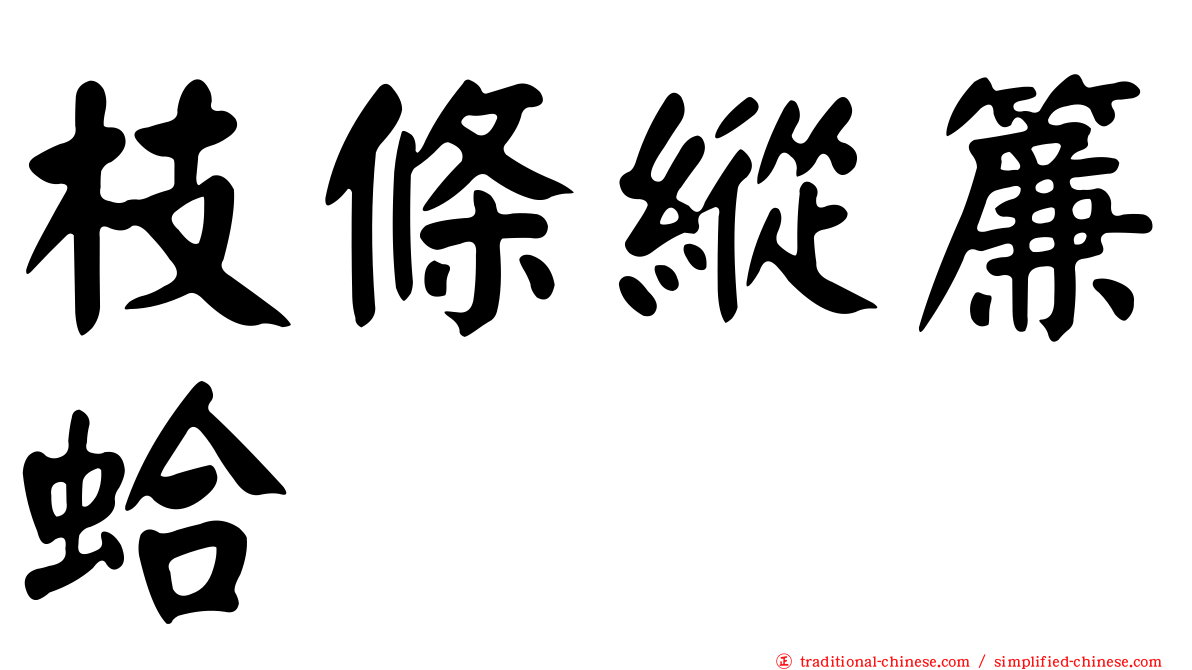 枝條縱簾蛤