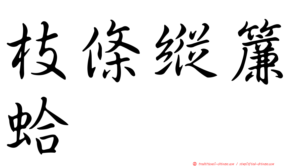 枝條縱簾蛤