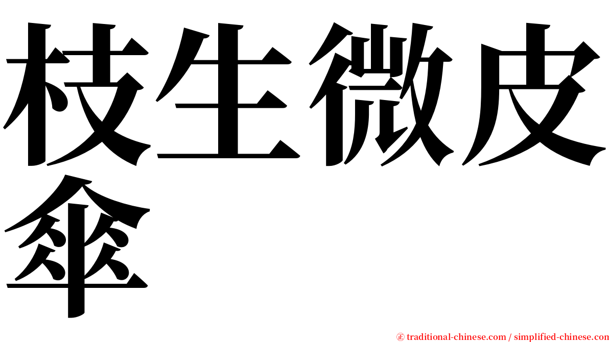 枝生微皮傘 serif font