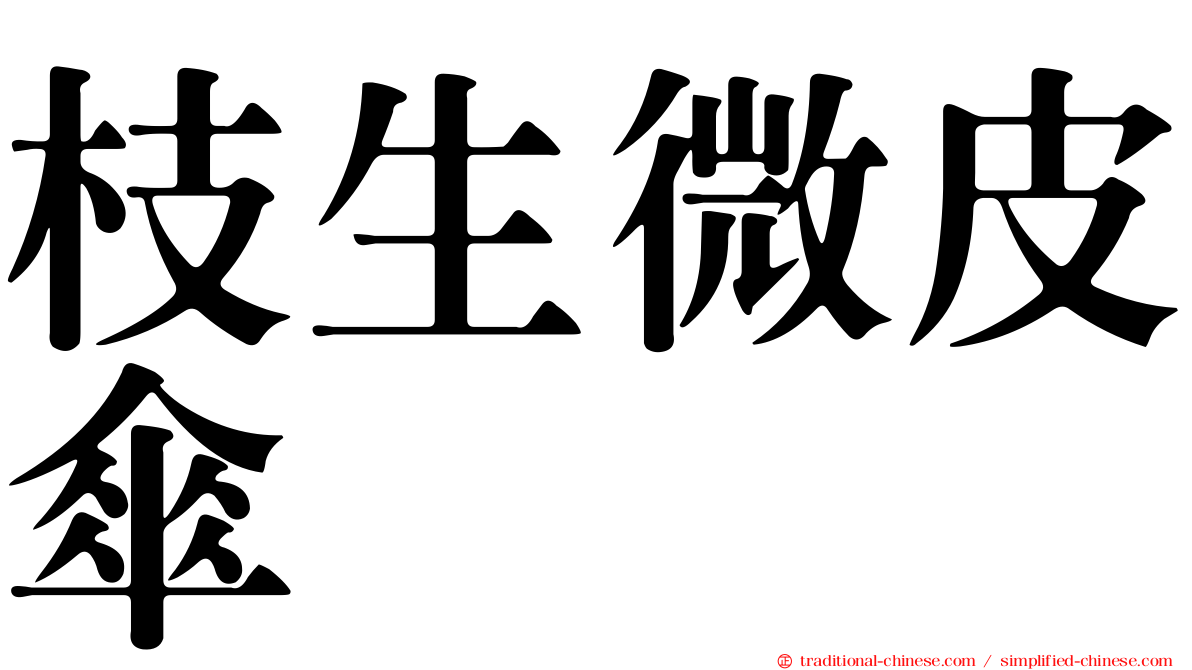 枝生微皮傘