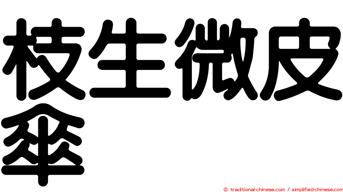 枝生微皮傘
