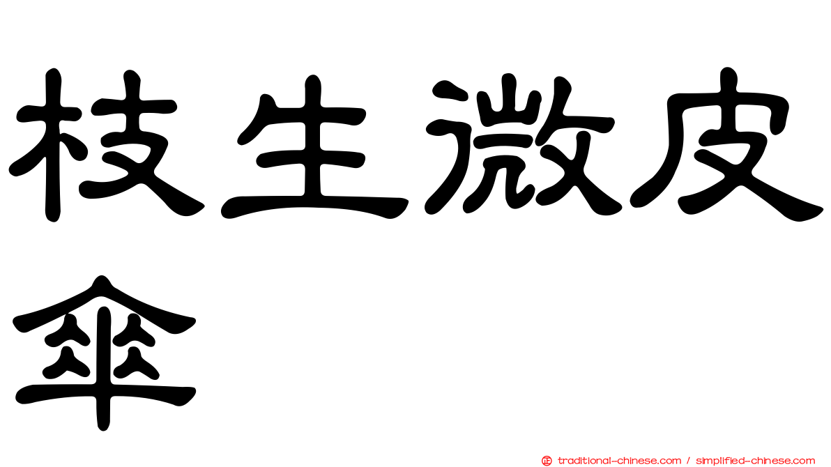 枝生微皮傘