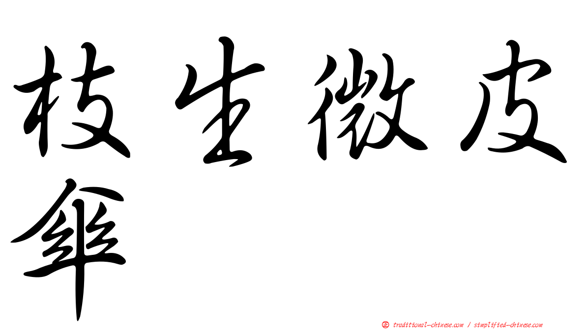 枝生微皮傘