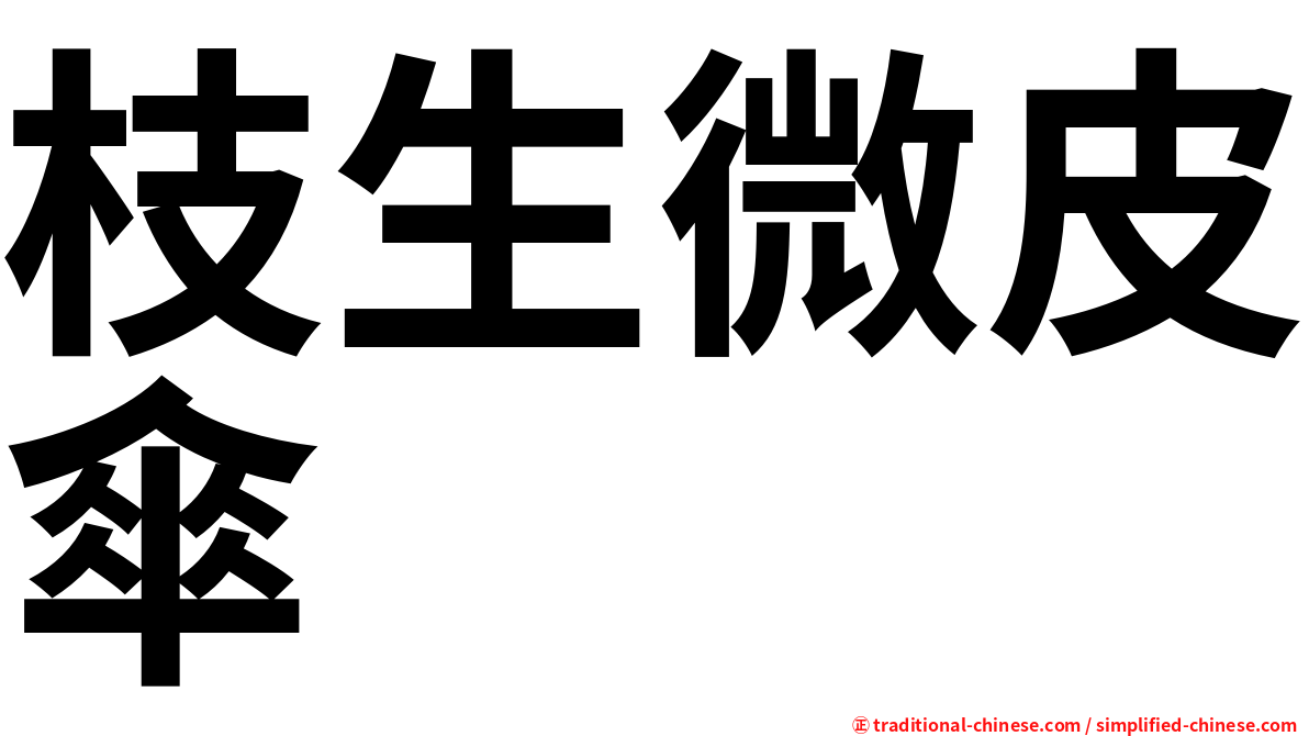 枝生微皮傘