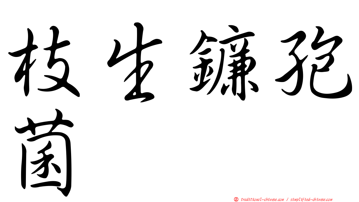 枝生鐮孢菌