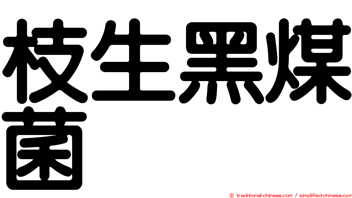 枝生黑煤菌
