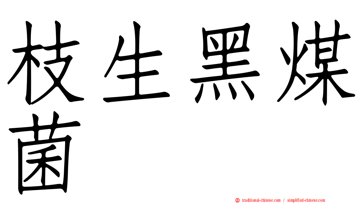 枝生黑煤菌