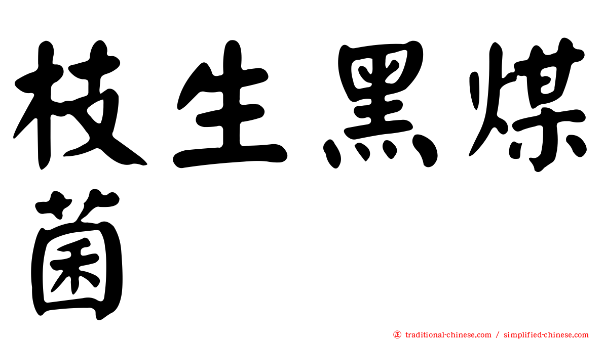 枝生黑煤菌