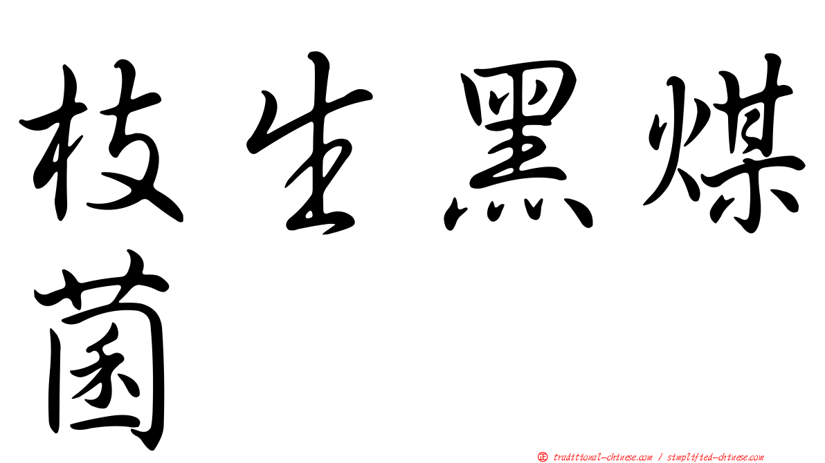 枝生黑煤菌