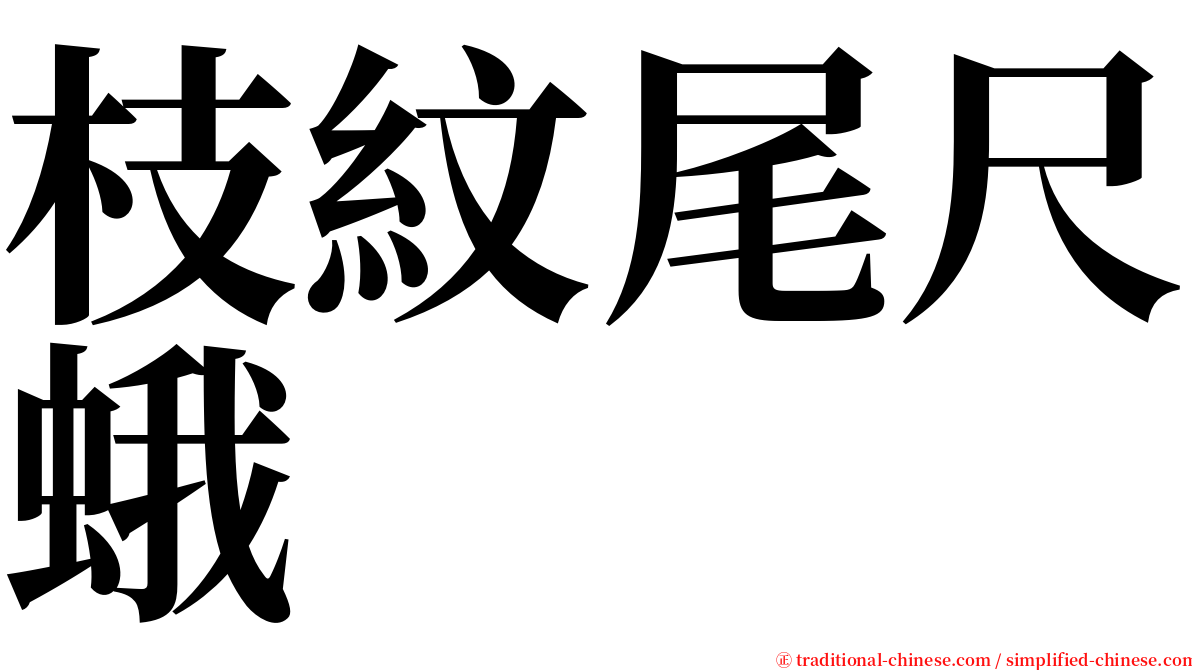 枝紋尾尺蛾 serif font