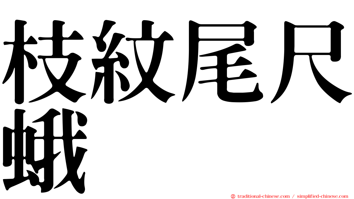 枝紋尾尺蛾