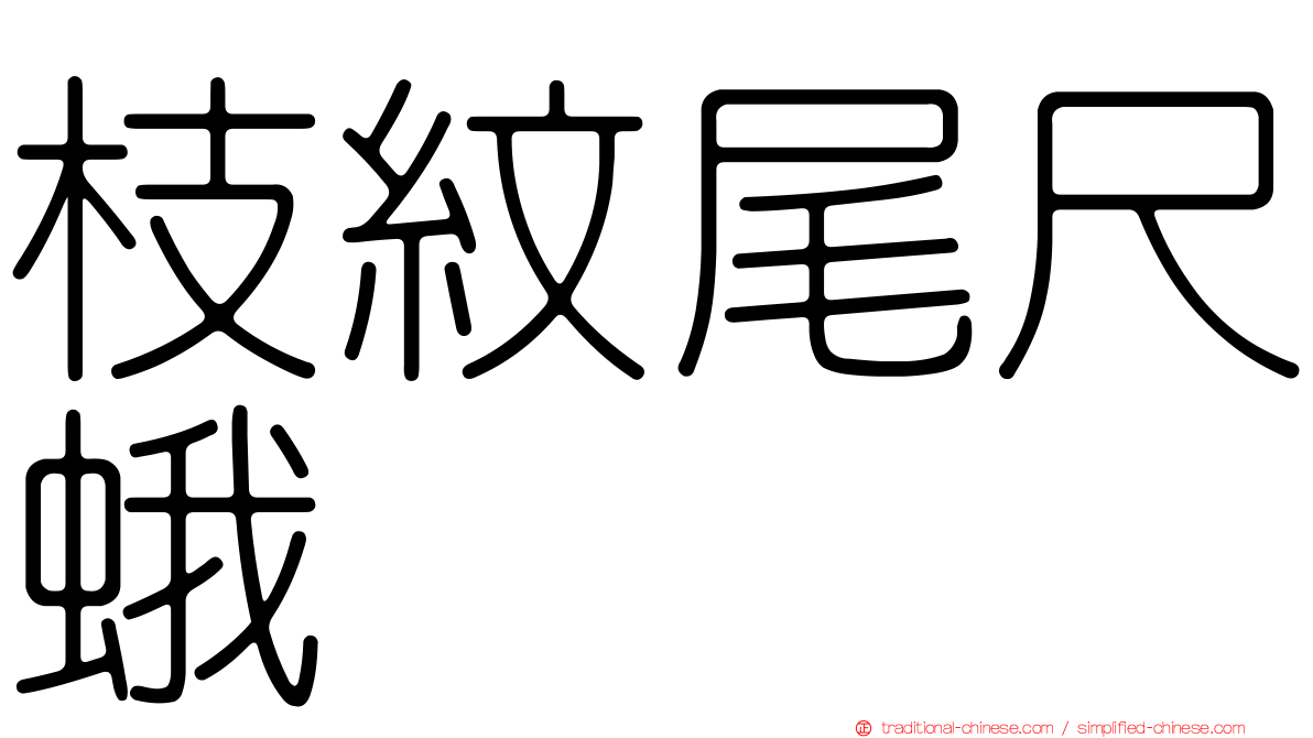枝紋尾尺蛾