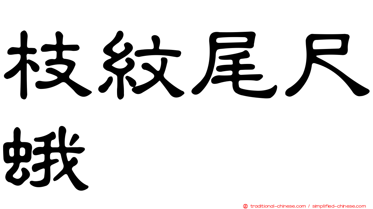 枝紋尾尺蛾