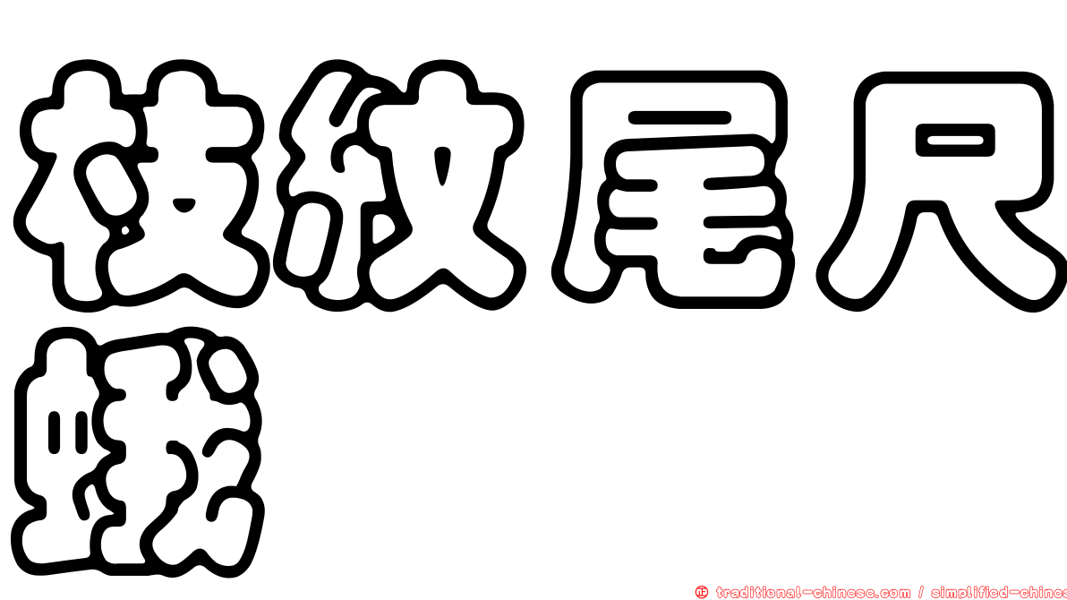 枝紋尾尺蛾