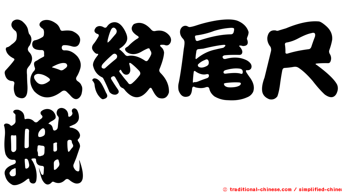 枝紋尾尺蛾