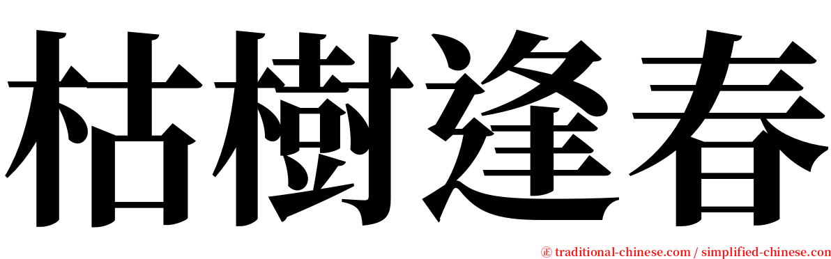 枯樹逢春 serif font