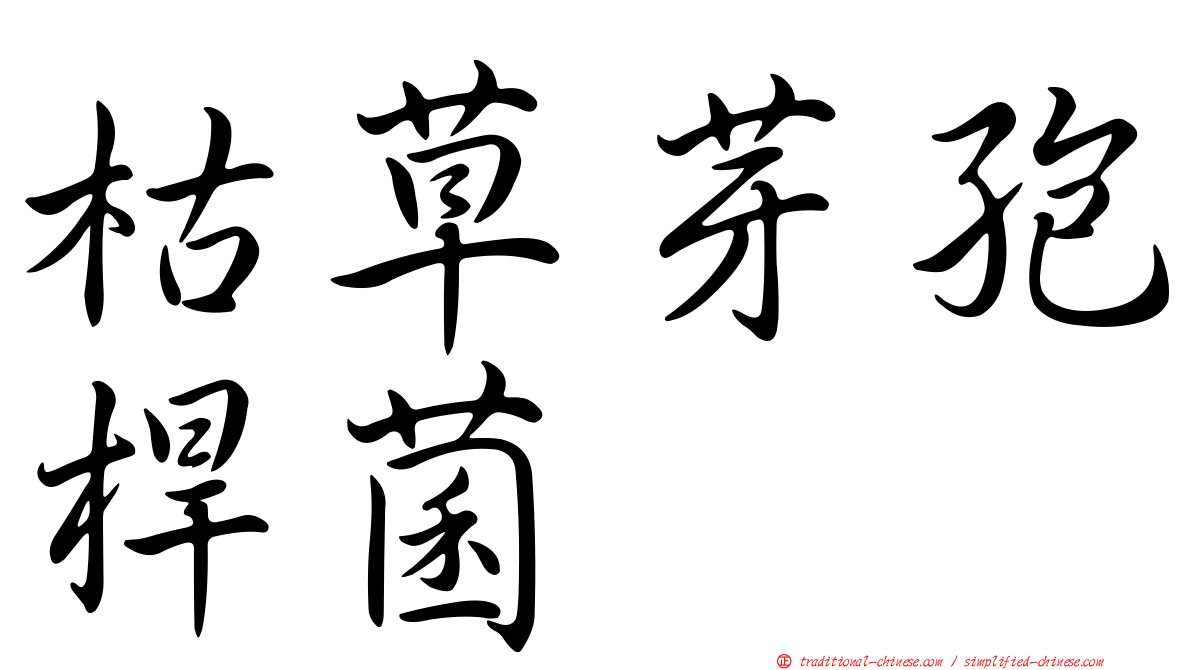 枯草芽孢桿菌