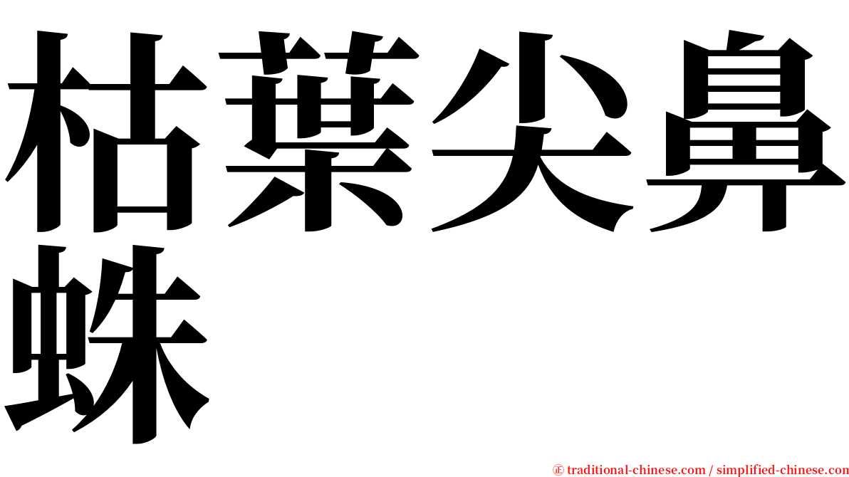 枯葉尖鼻蛛 serif font