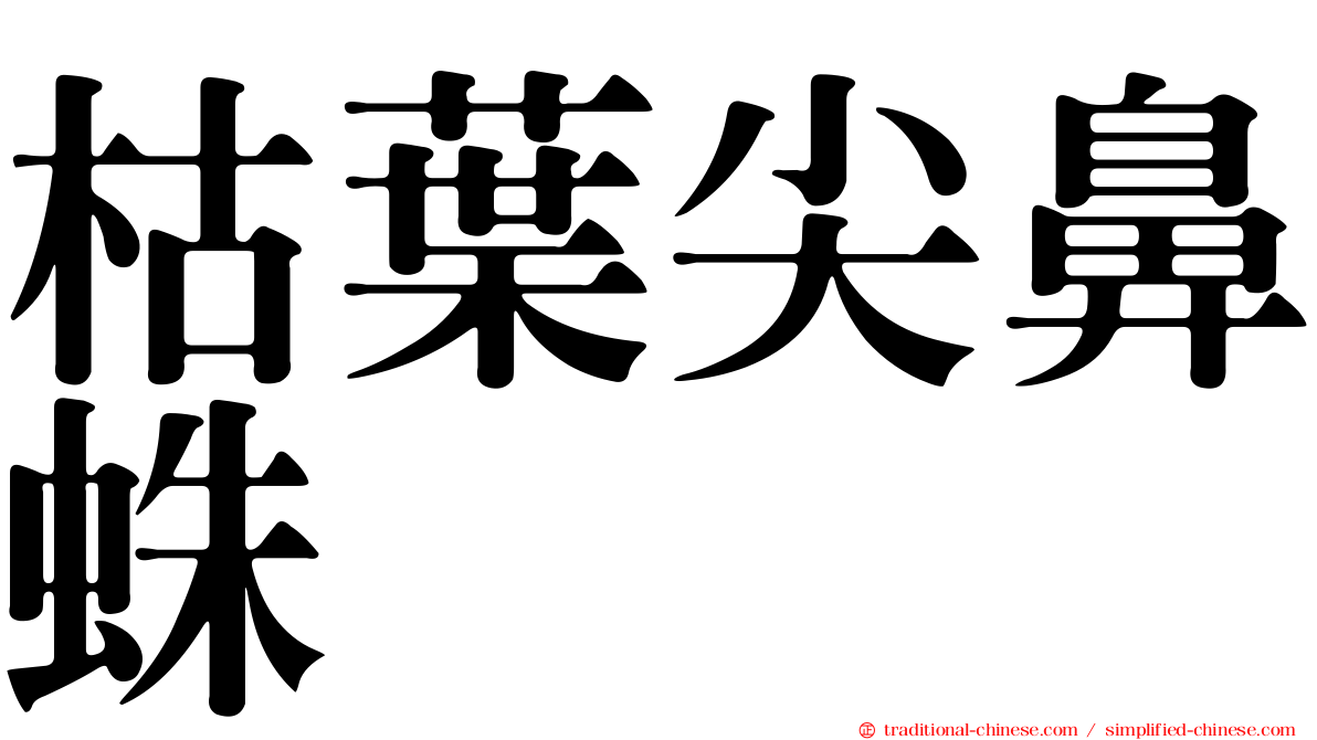 枯葉尖鼻蛛