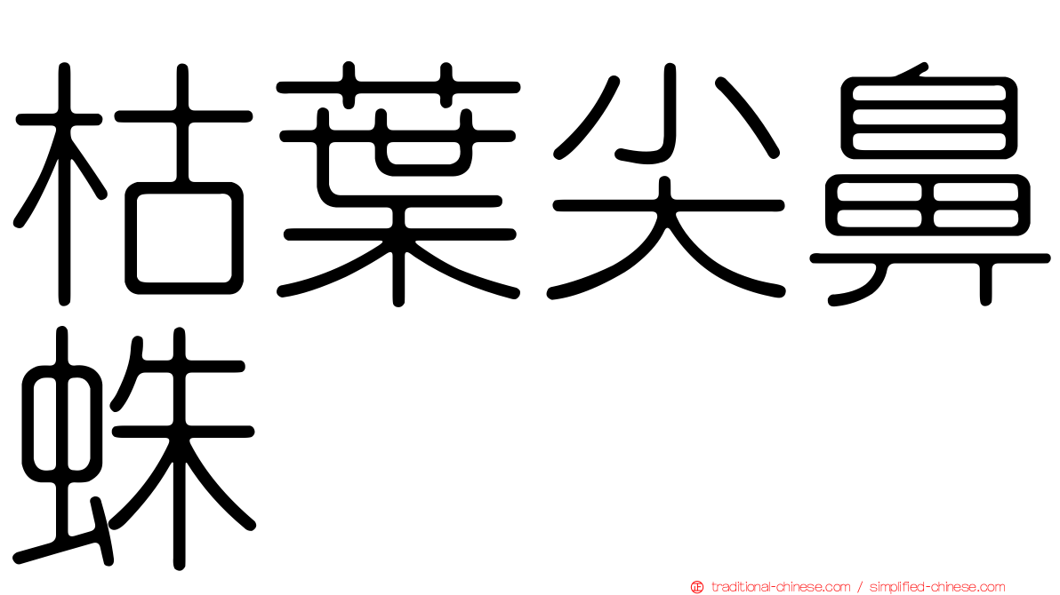 枯葉尖鼻蛛