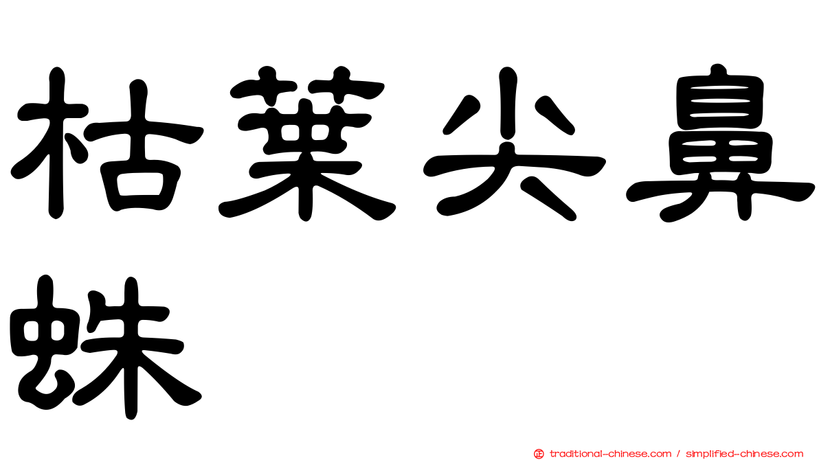 枯葉尖鼻蛛