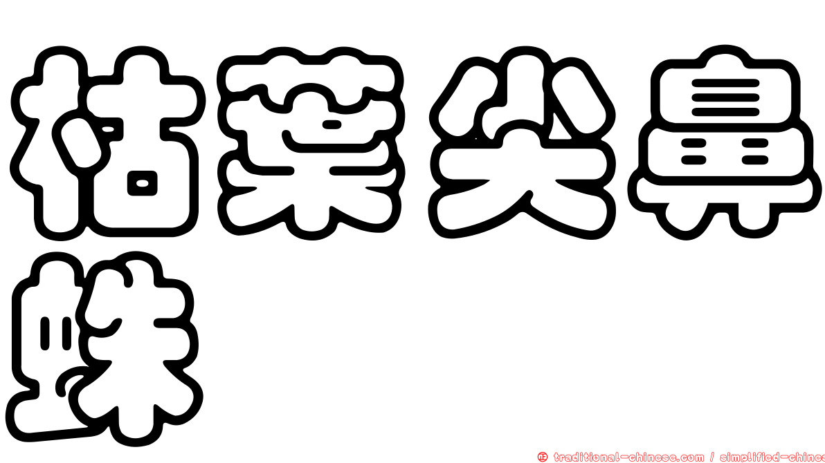 枯葉尖鼻蛛