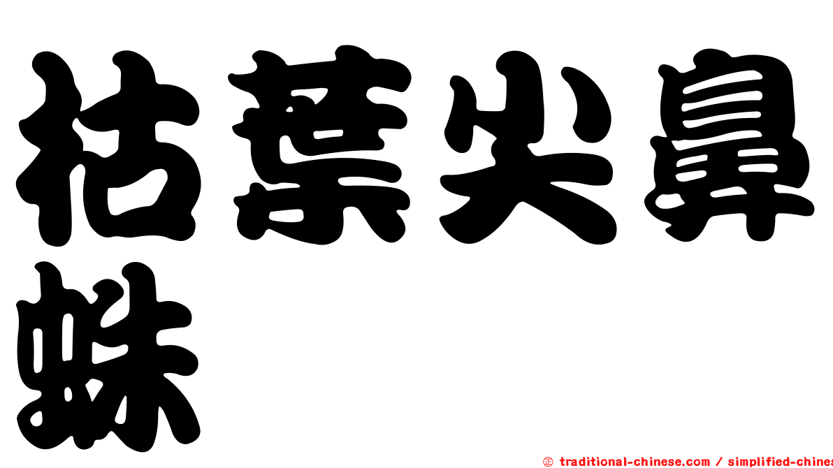 枯葉尖鼻蛛