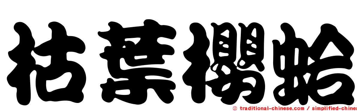 枯葉櫻蛤