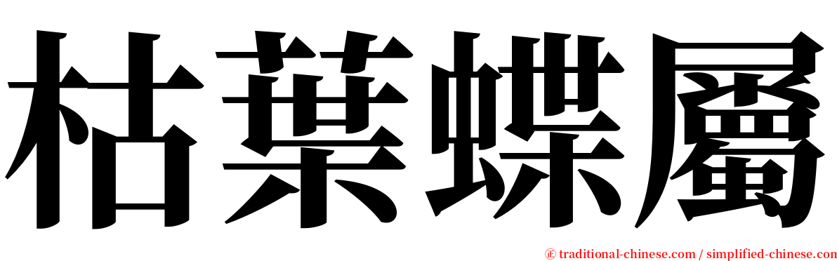 枯葉蝶屬 serif font