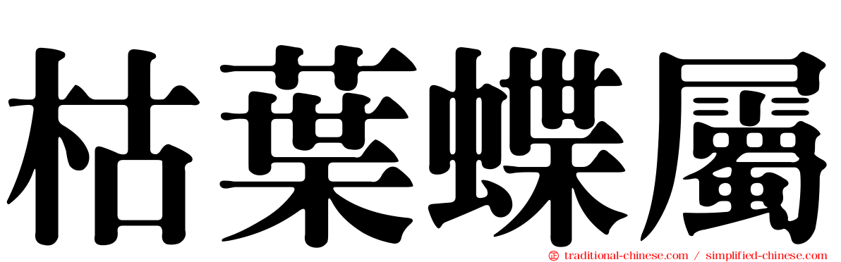 枯葉蝶屬