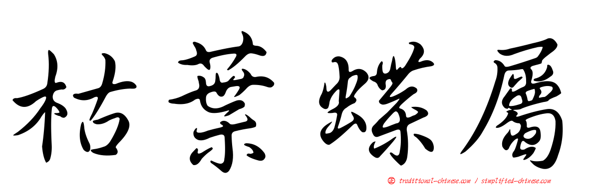 枯葉蝶屬