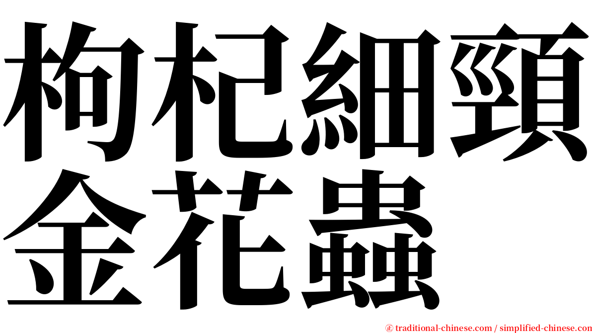 枸杞細頸金花蟲 serif font