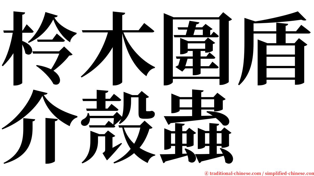 柃木圍盾介殼蟲 serif font