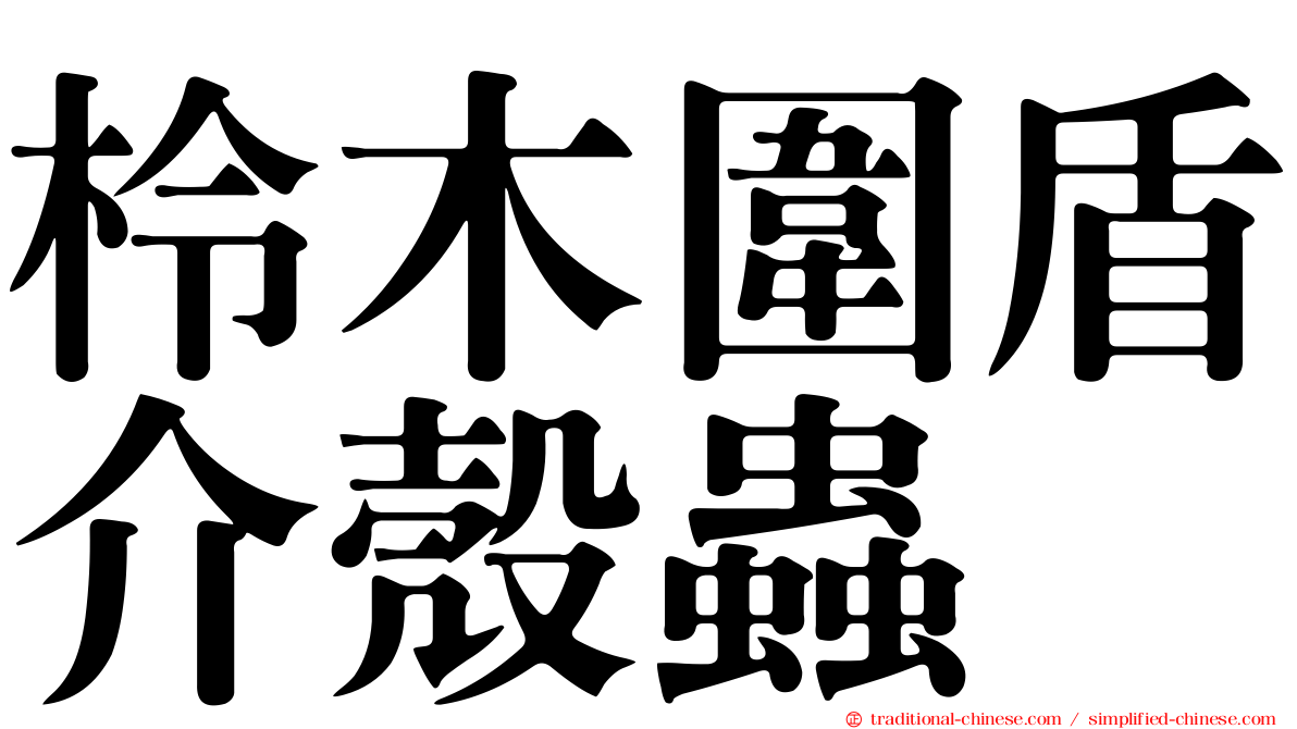 柃木圍盾介殼蟲