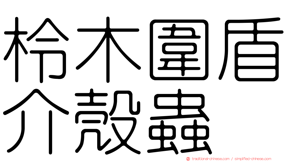 柃木圍盾介殼蟲