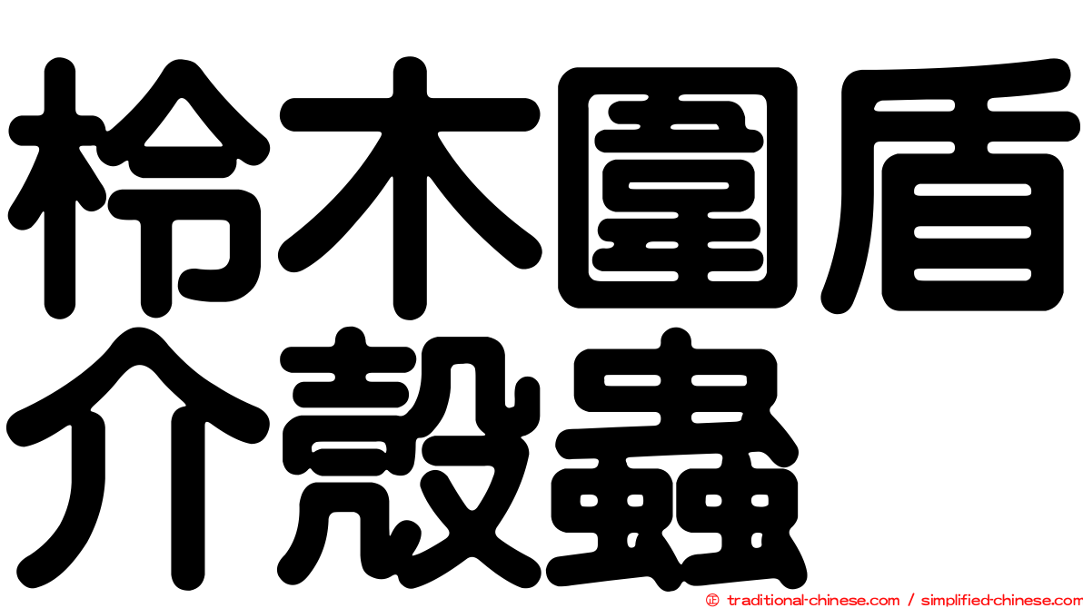 柃木圍盾介殼蟲