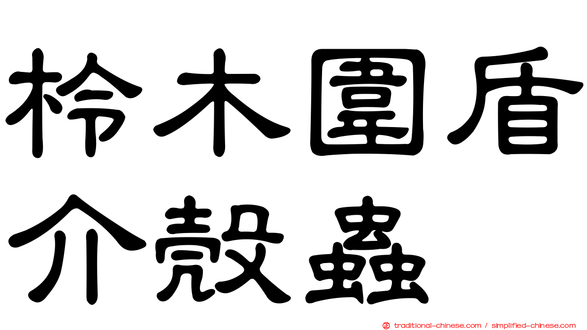 柃木圍盾介殼蟲