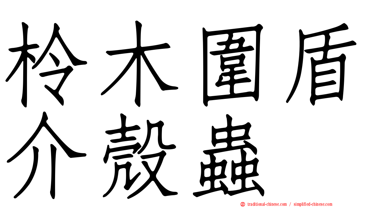 柃木圍盾介殼蟲