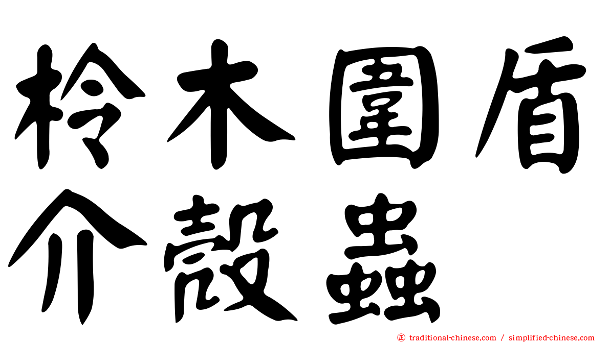 柃木圍盾介殼蟲
