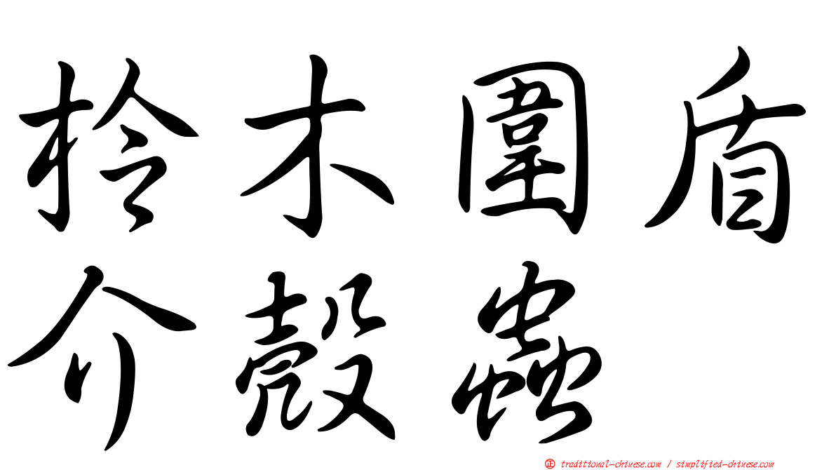 柃木圍盾介殼蟲