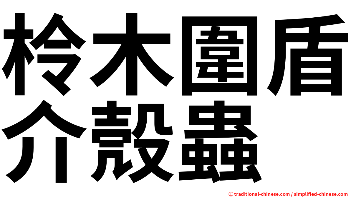 柃木圍盾介殼蟲