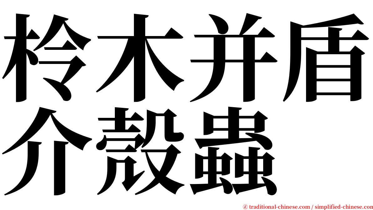 柃木并盾介殼蟲 serif font