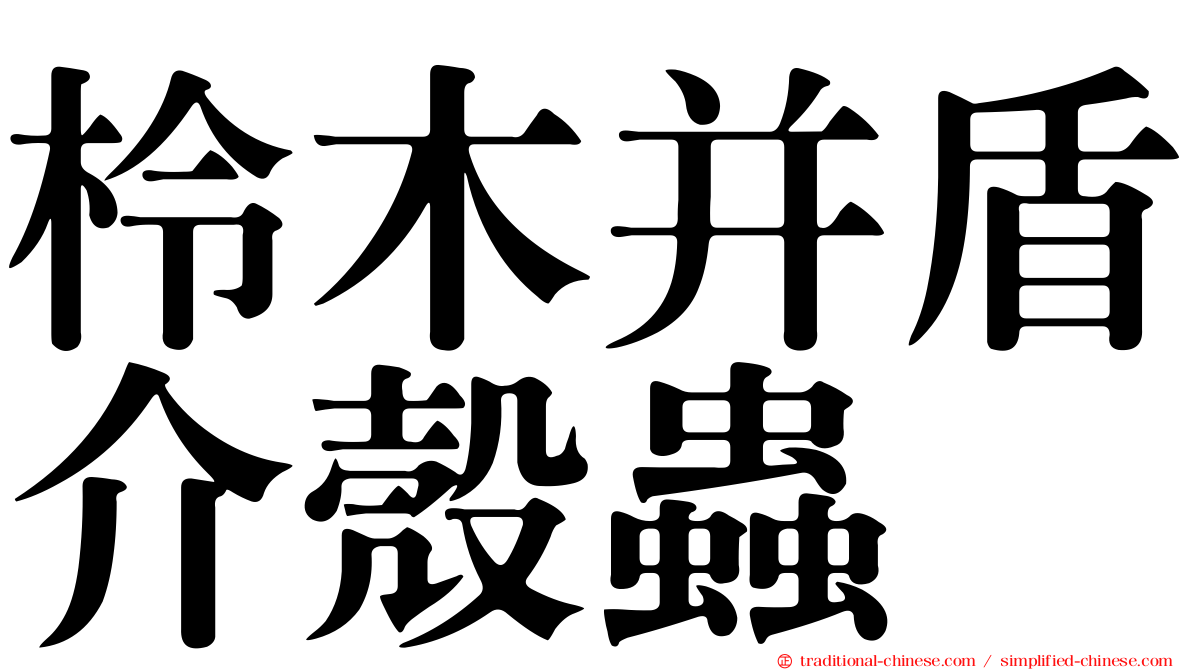 柃木并盾介殼蟲