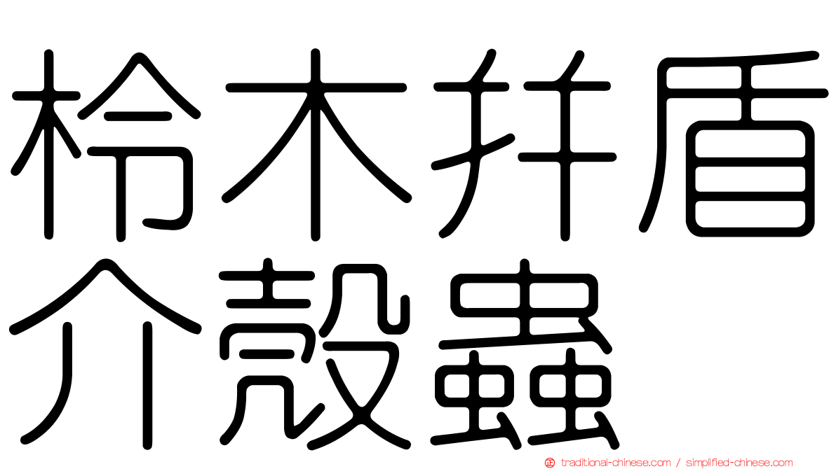 柃木并盾介殼蟲