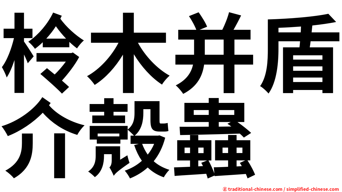 柃木并盾介殼蟲